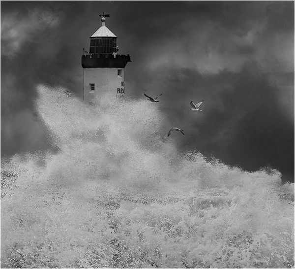 1  ON A WING AND A PRAYER - DAVID EVANS 