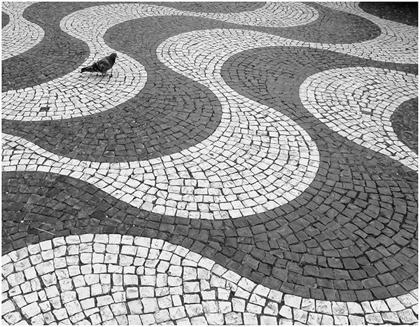 2  WHICH WAY NOW - EGRYN ROBERTS 