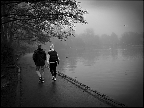 C  LOVELY MEMORIES OF SEFTON PARK  - CERI WILLIAMS