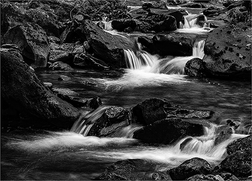 C  NANT Y MYNYDD   - BRINLEY WILLIAMS